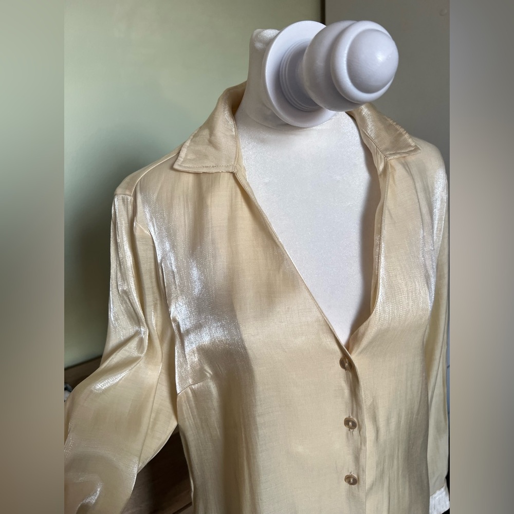 Shimmery Iridescent Metallic Satin V-Neck Long-Sleeve Button Down Fitted Blouse